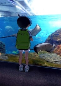ŮɳϵͳãNP
